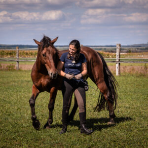 TEST Ulmenbründl Kompass 01 – Was ein Pferd wirklich glücklich macht